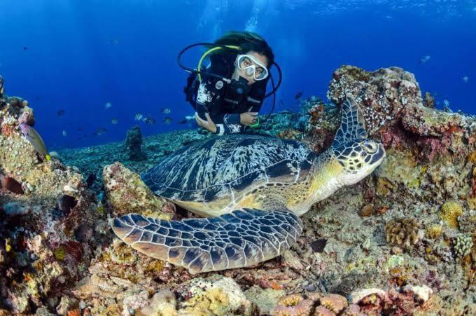 Apo Diver Beach Resort Сан Хуан Екстериор снимка